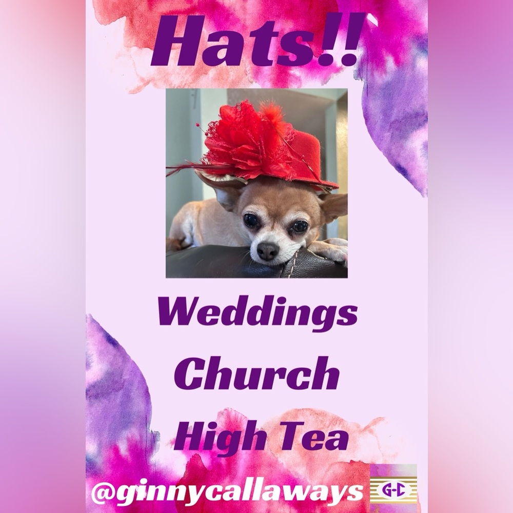 Like to be notified of @ginnycallaways shows